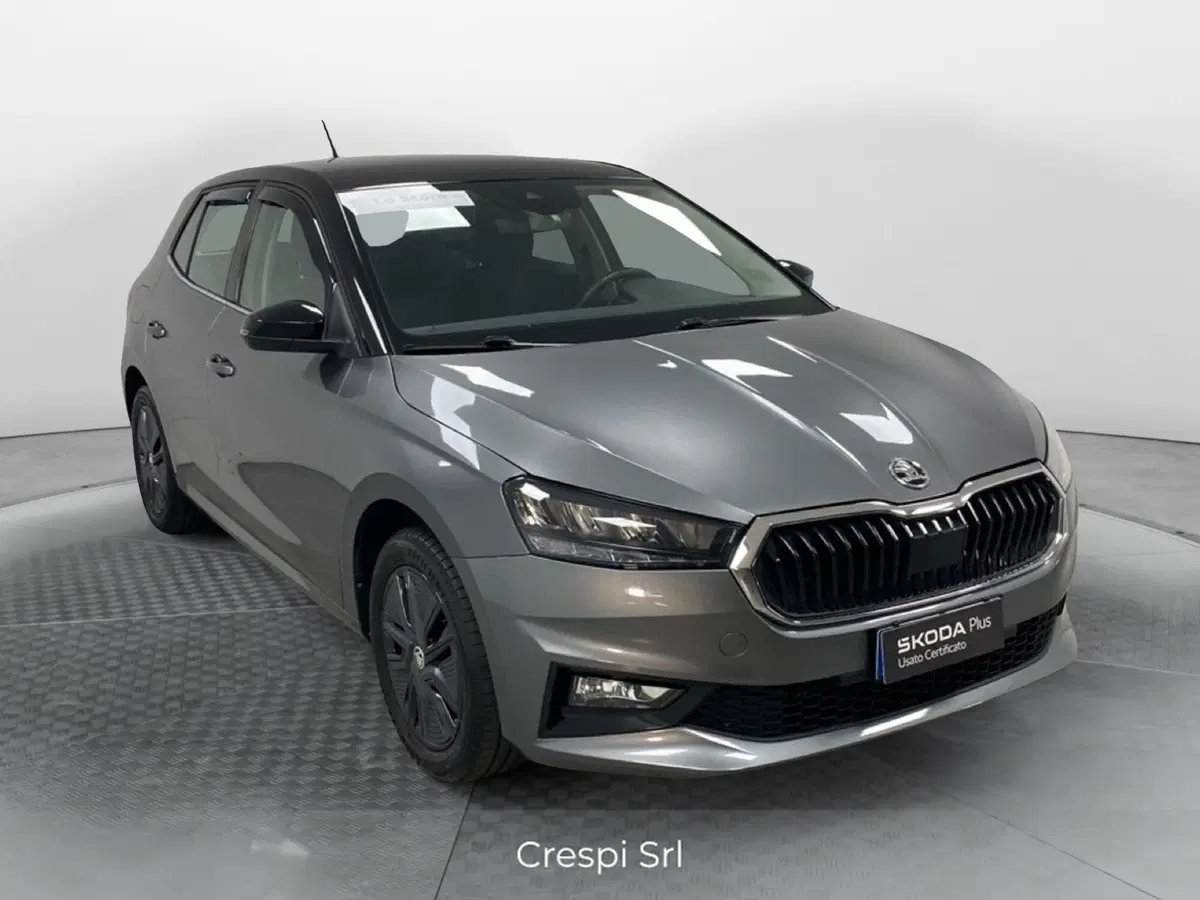 Skoda Fabia usata a Varese (3)