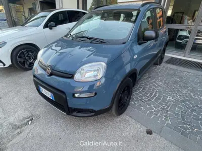 Fiat Panda 0.9 TwinAir Turbo S&S 4x4 Wild del 2022 usata a Fisciano