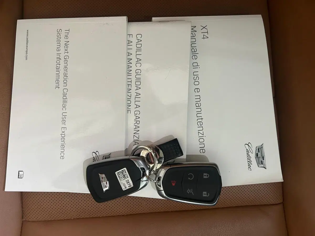Cadillac XT4 usata a Monza e Brianza (13)