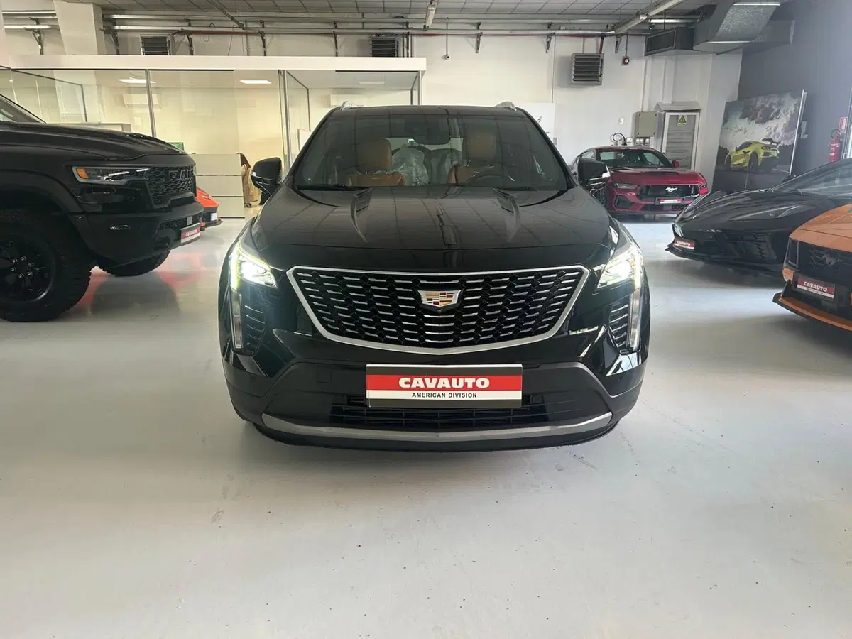 Cadillac XT4 usata a Monza e Brianza (2)