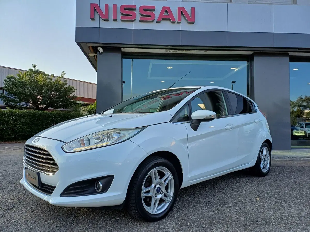Ford Fiesta usata a Modena (19)