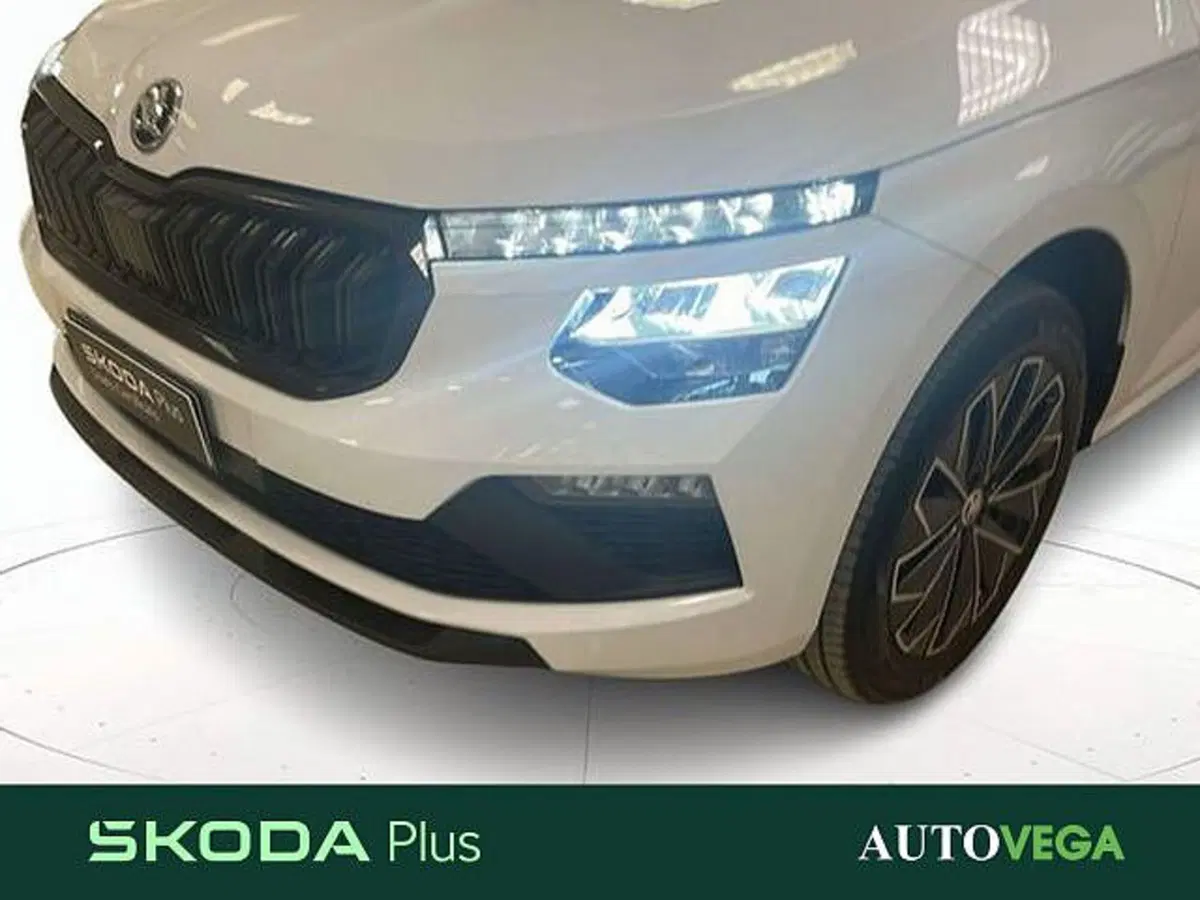 Skoda Kamiq usata a Vicenza (19)