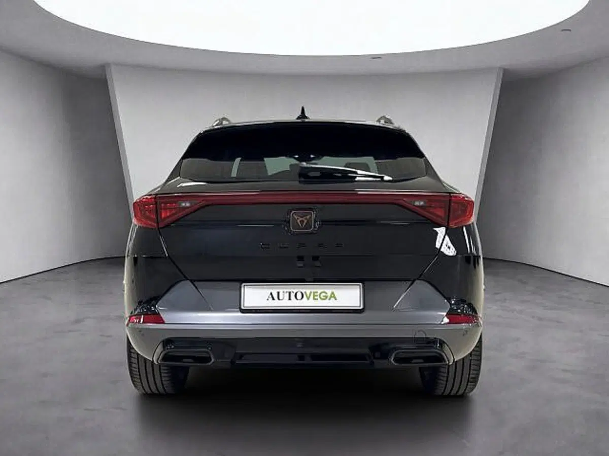 Cupra Formentor usata a Vicenza (5)