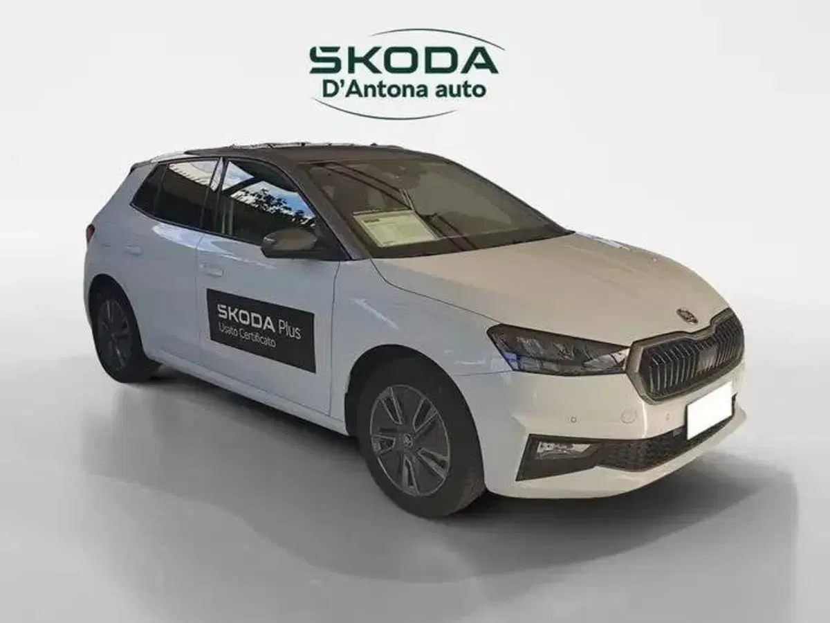Skoda Fabia nuova a Taranto