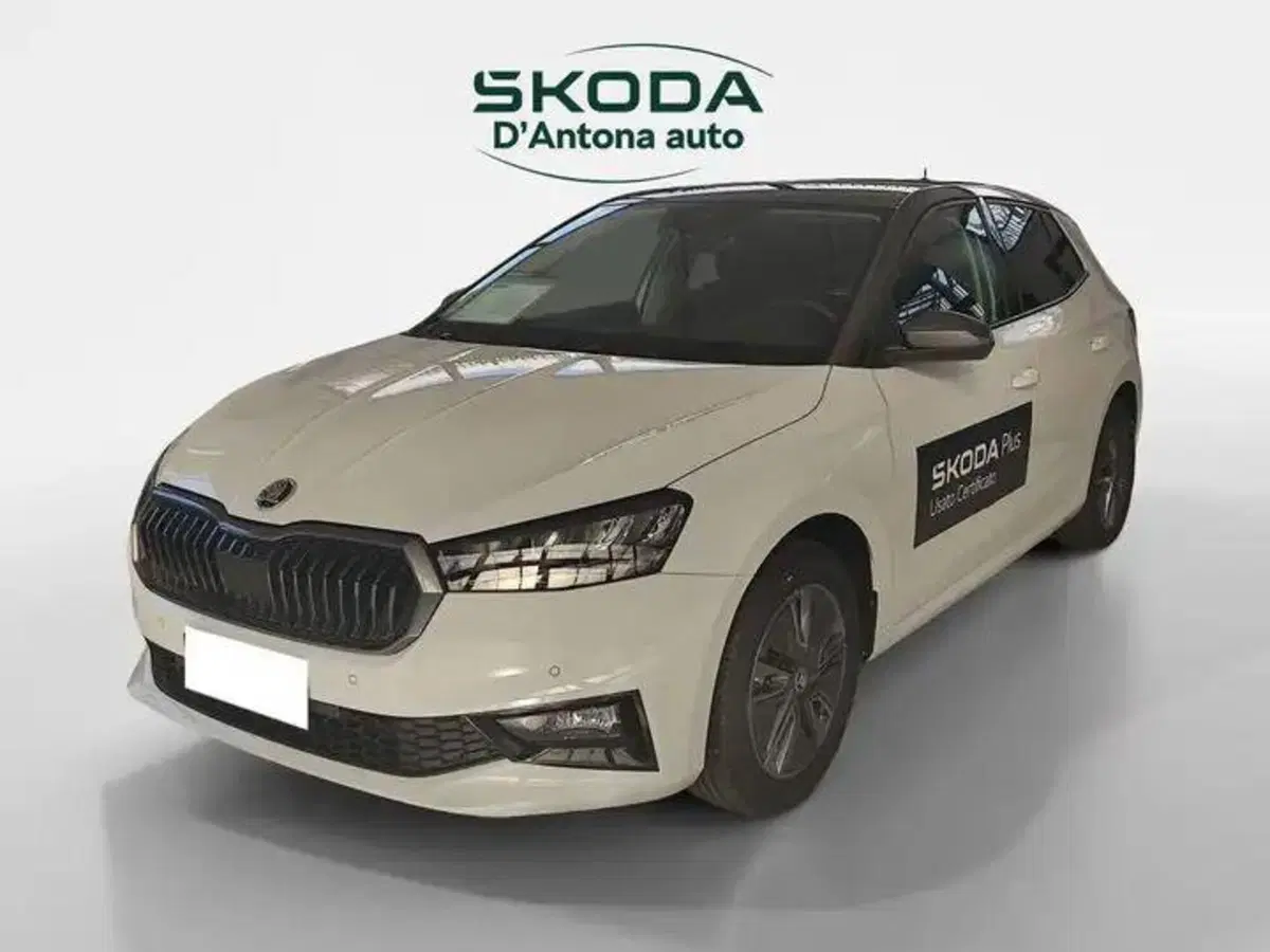 Skoda Fabia nuova a Taranto (6)