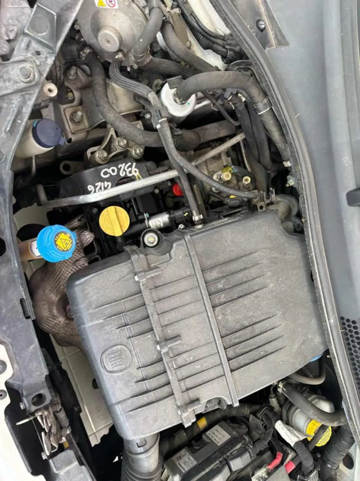 Fiat 500 usata a Pesaro-Urbino (9)