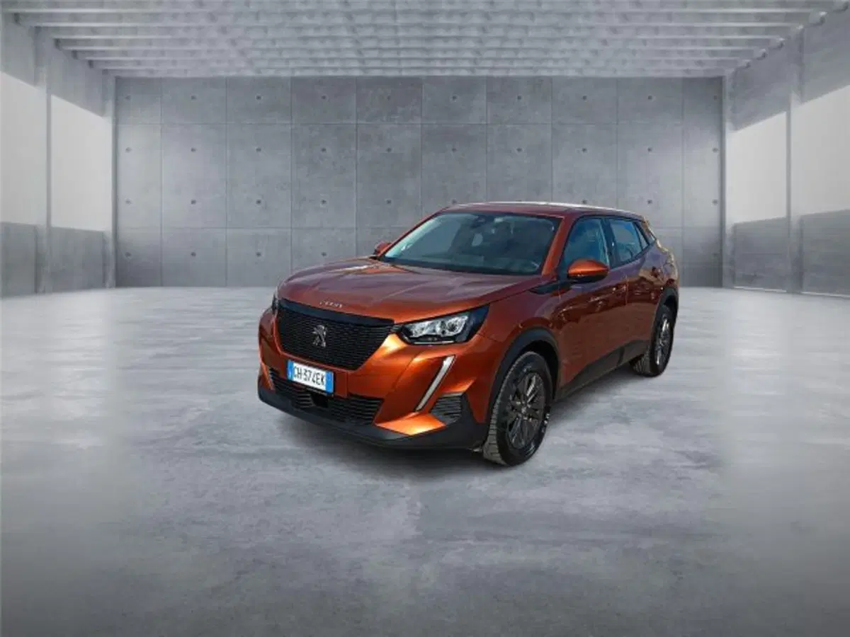 Peugeot 2008 usata a Bari (3)