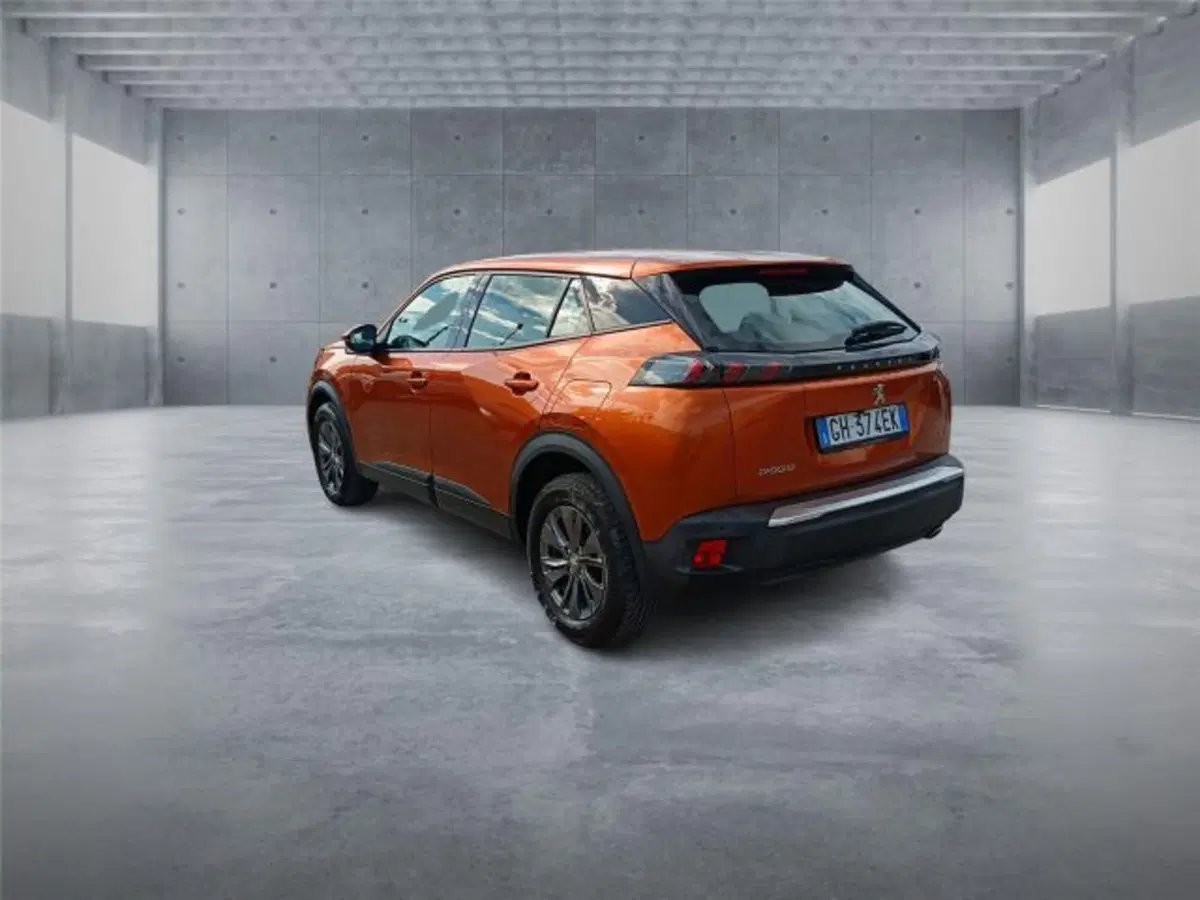 Peugeot 2008 usata a Bari (4)