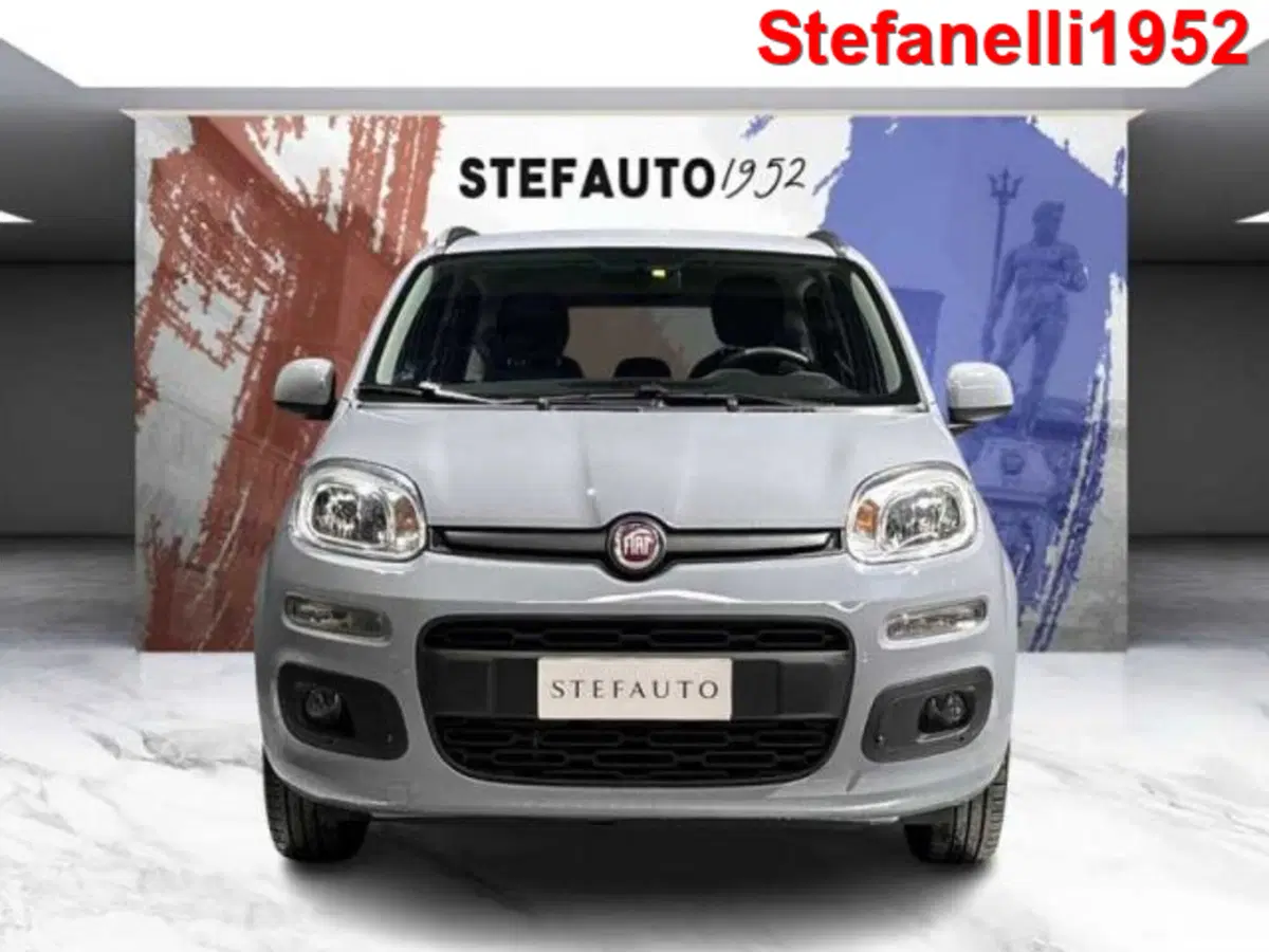 Fiat Panda usata a Bologna (2)