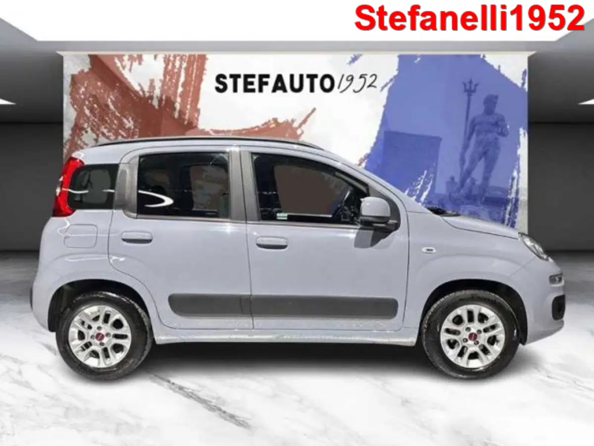 Fiat Panda usata a Bologna (3)