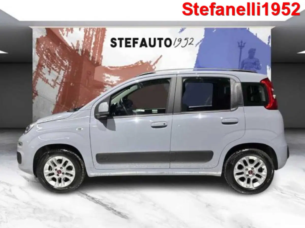 Fiat Panda usata a Bologna (4)