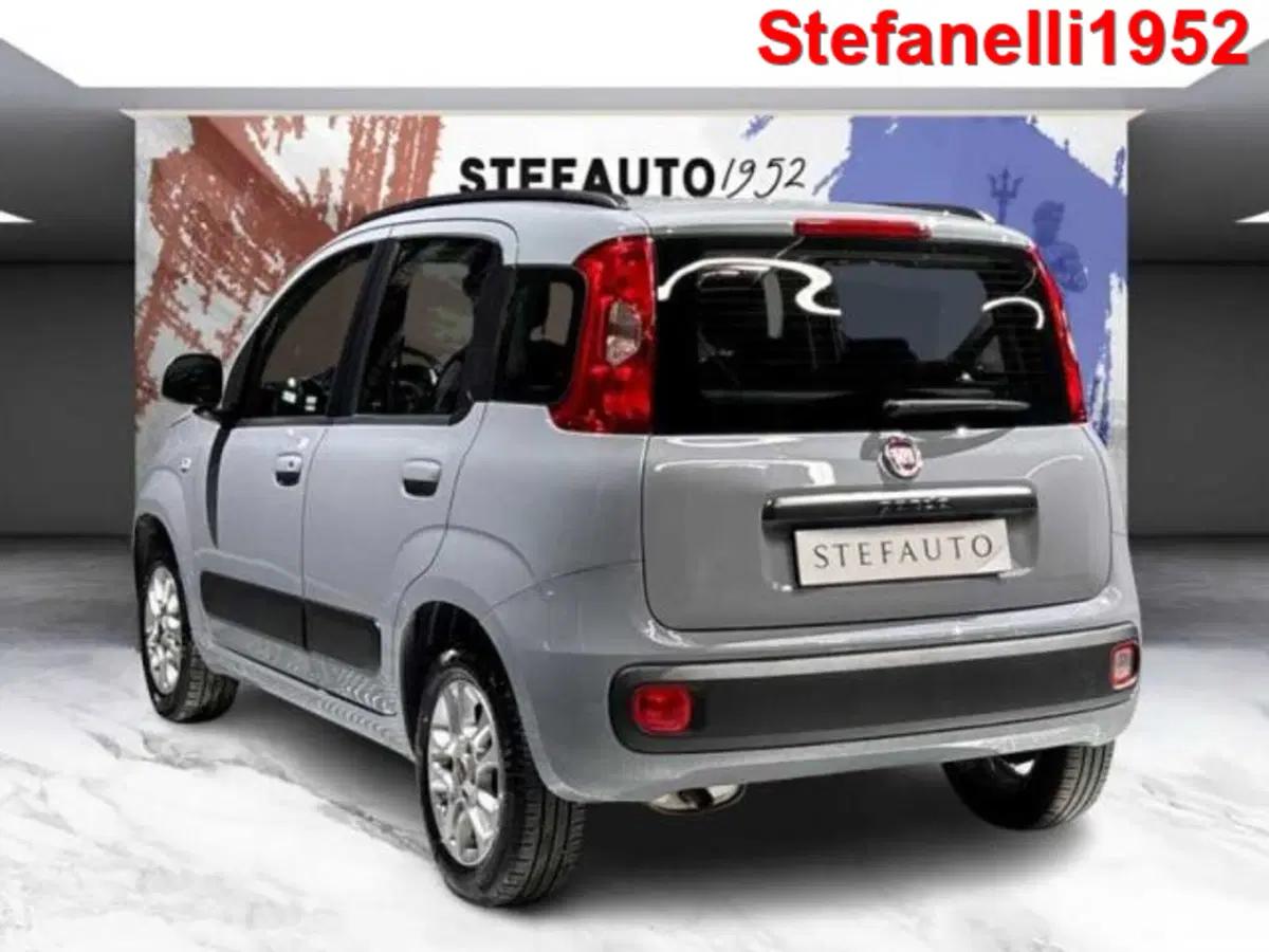 Fiat Panda usata a Bologna (5)