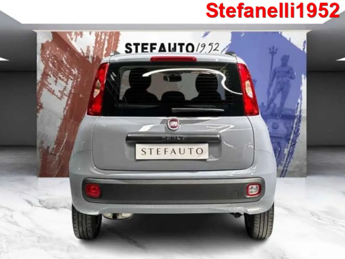 Fiat Panda usata a Bologna (6)
