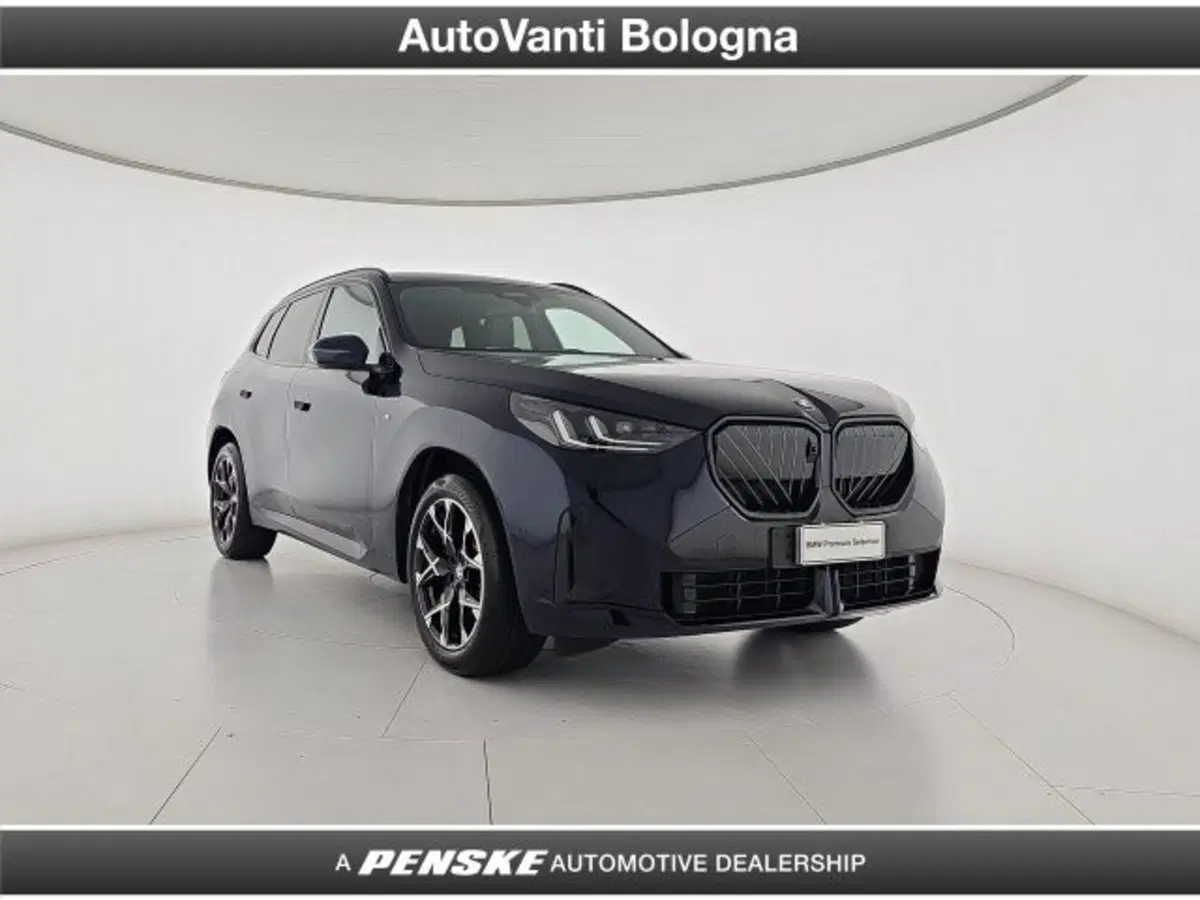 BMW X3 usata a Bologna (7)