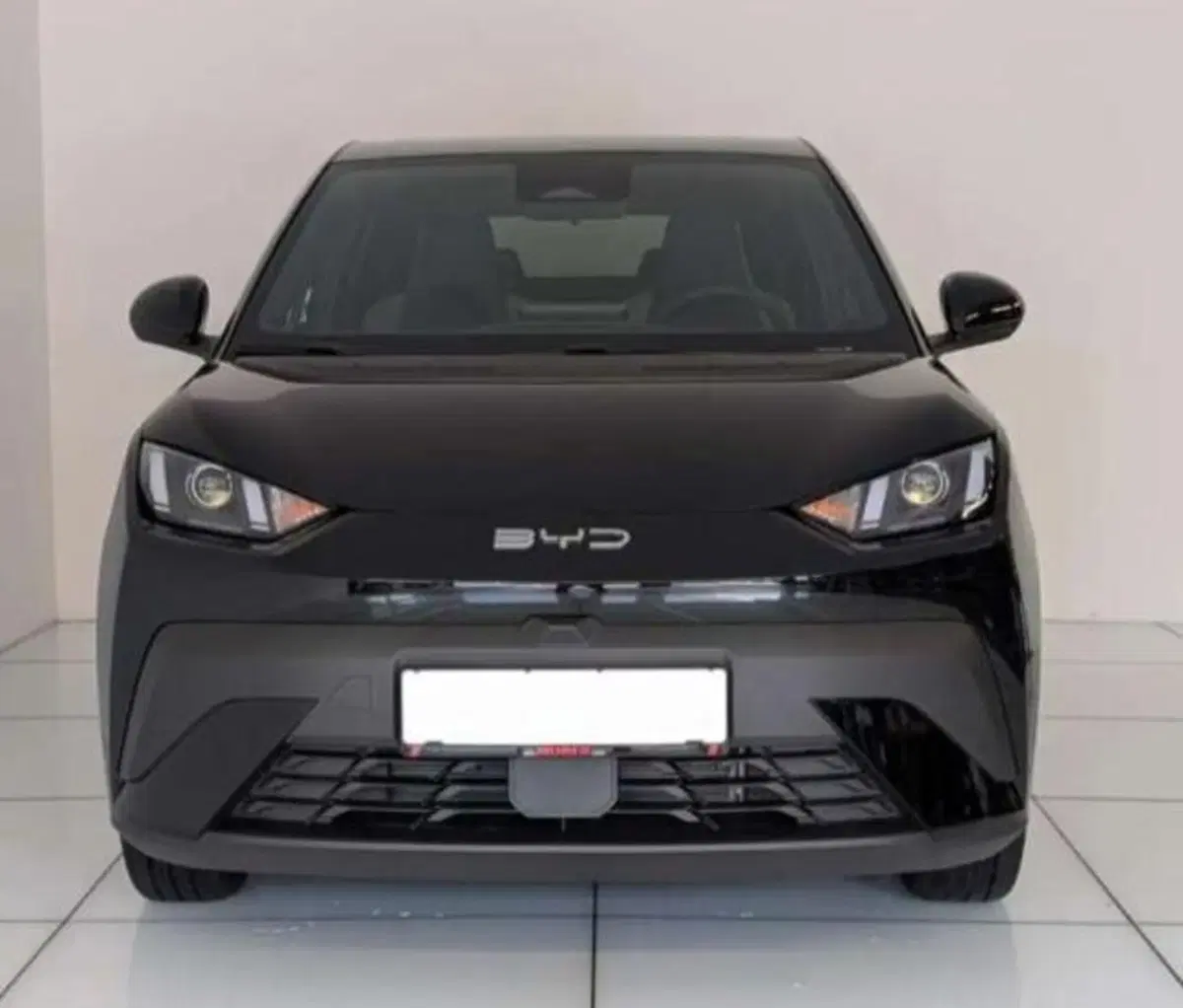 Byd Dolphin Surf nuova a Bologna (2)
