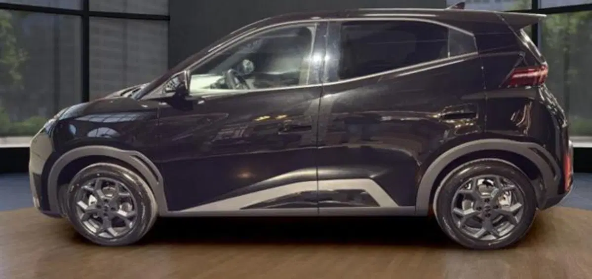 Byd Dolphin Surf nuova a Bologna (2)