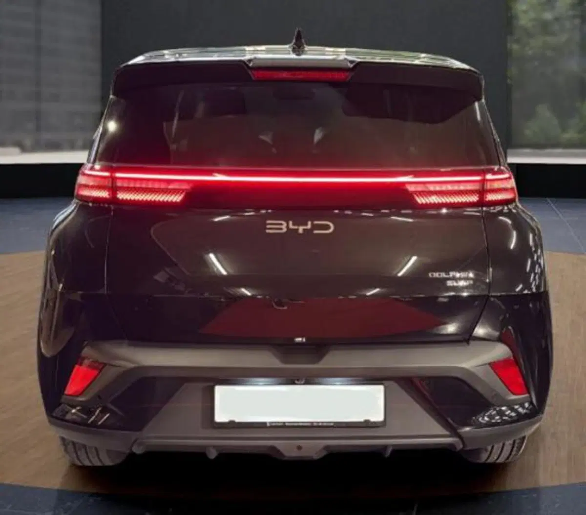 Byd Dolphin Surf nuova a Bologna (4)