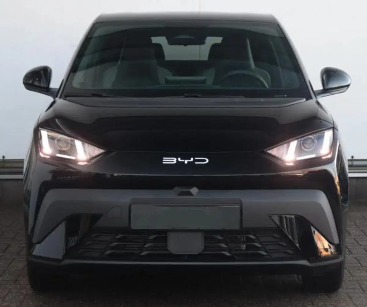 Byd Dolphin Surf nuova a Bologna