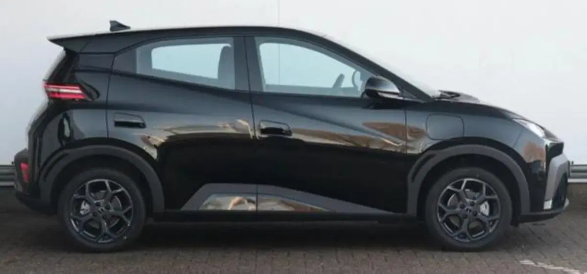 Byd Dolphin Surf nuova a Bologna (2)