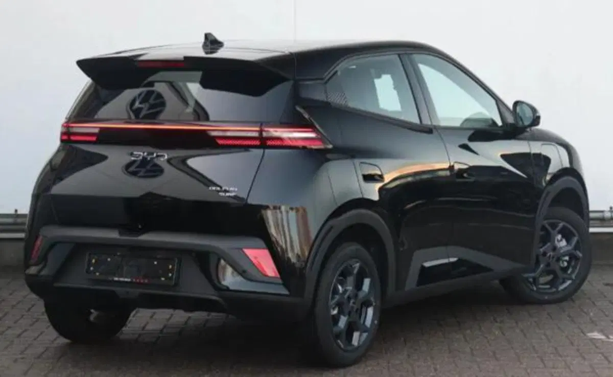 Byd Dolphin Surf nuova a Bologna (3)