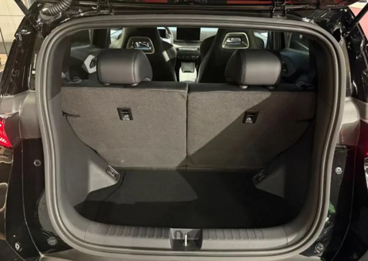 Byd Dolphin Surf nuova a Bologna (15)