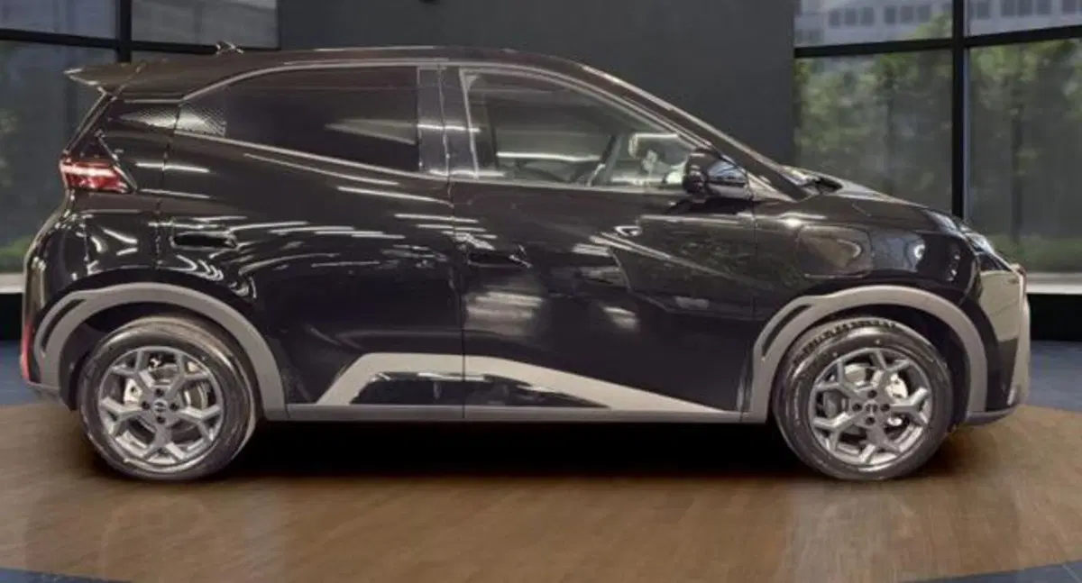 Byd Dolphin Surf nuova a Bologna (6)