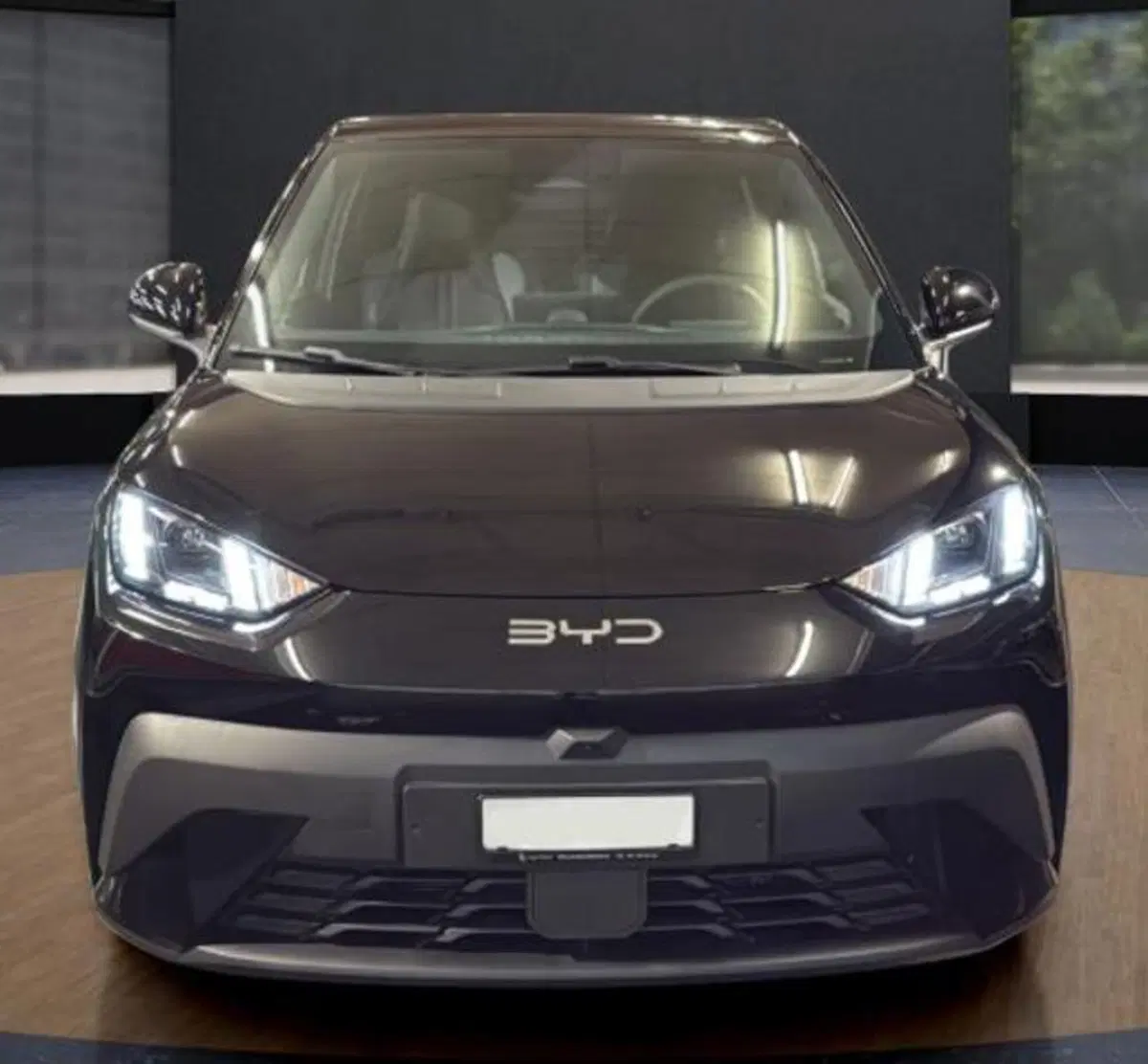 Byd Dolphin Surf nuova a Bologna (8)