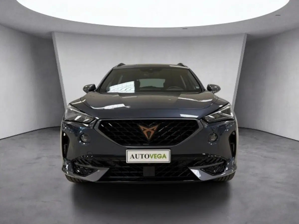 Cupra Formentor usata a Vicenza (2)