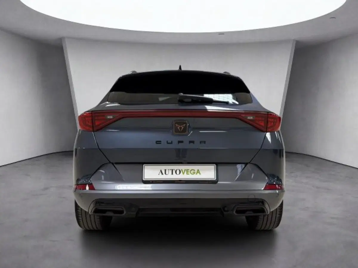 Cupra Formentor usata a Vicenza (5)