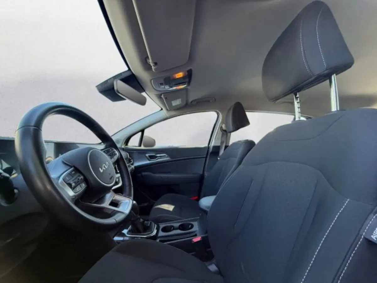 Kia Sportage usata a Udine (8)