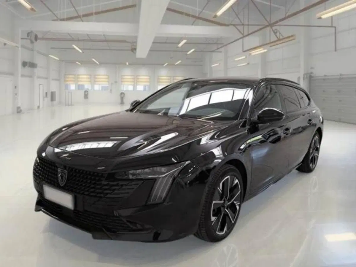 Peugeot 508 SW usata a Perugia (2)