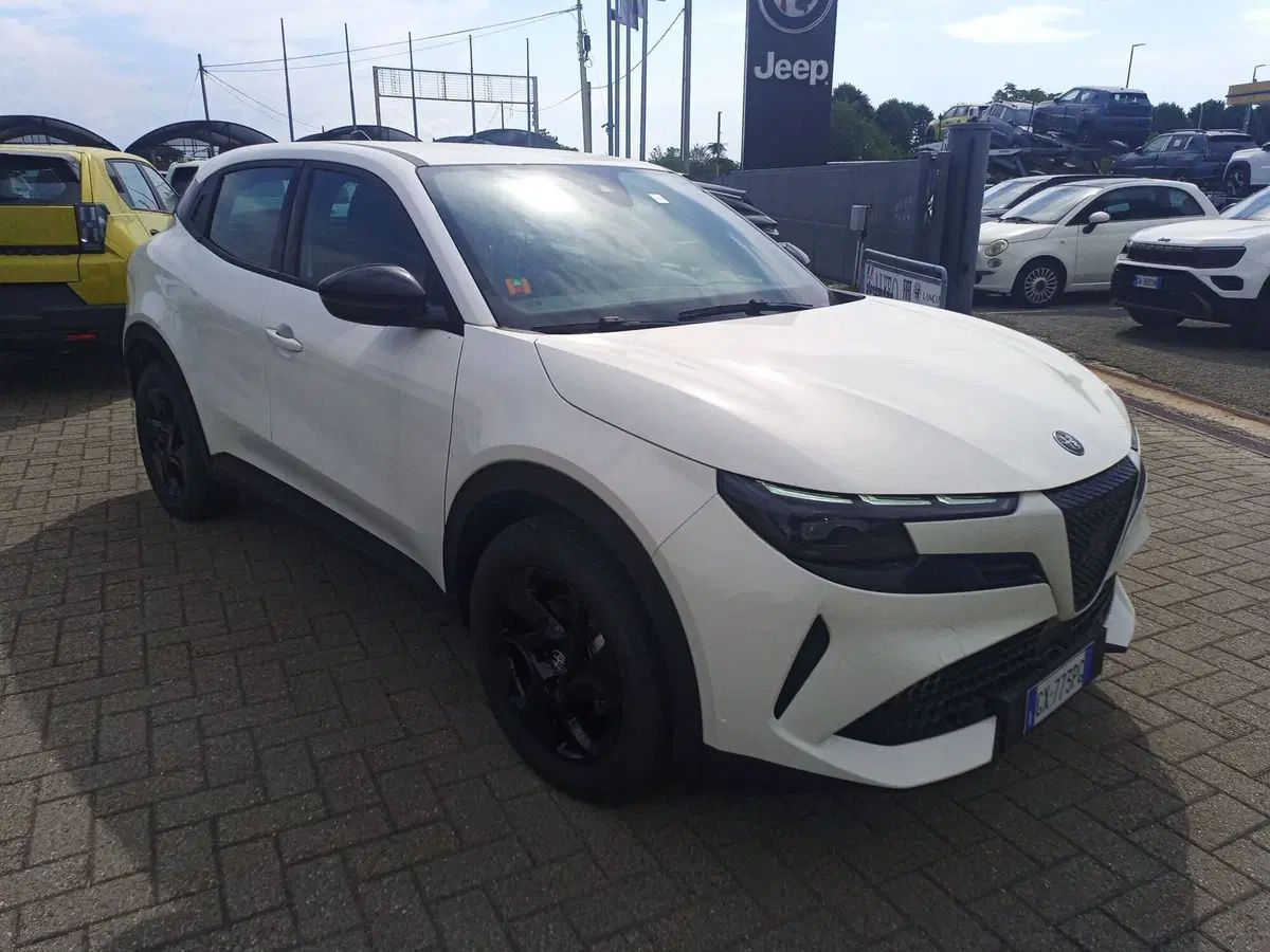 Alfa Romeo Junior usata a Alessandria (3)