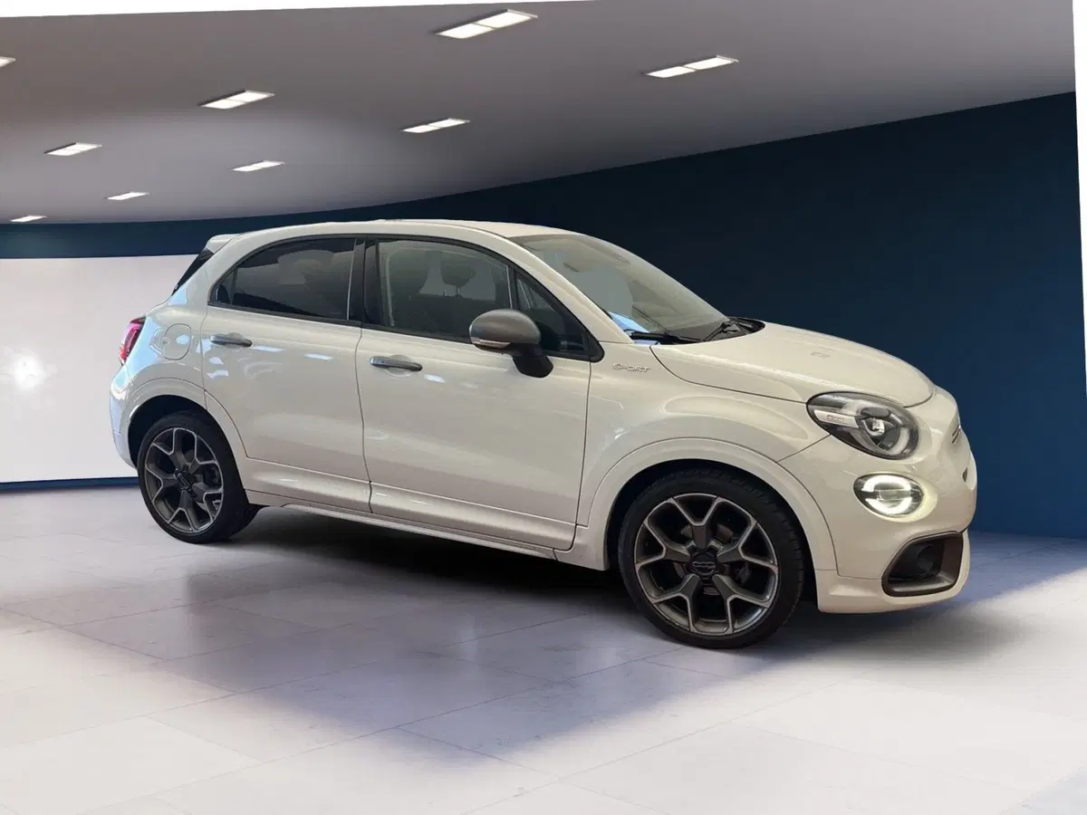 Fiat 500X usata a Torino (2)