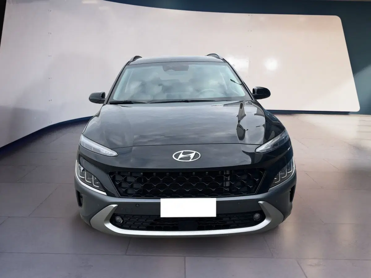 Hyundai Kona usata a Torino