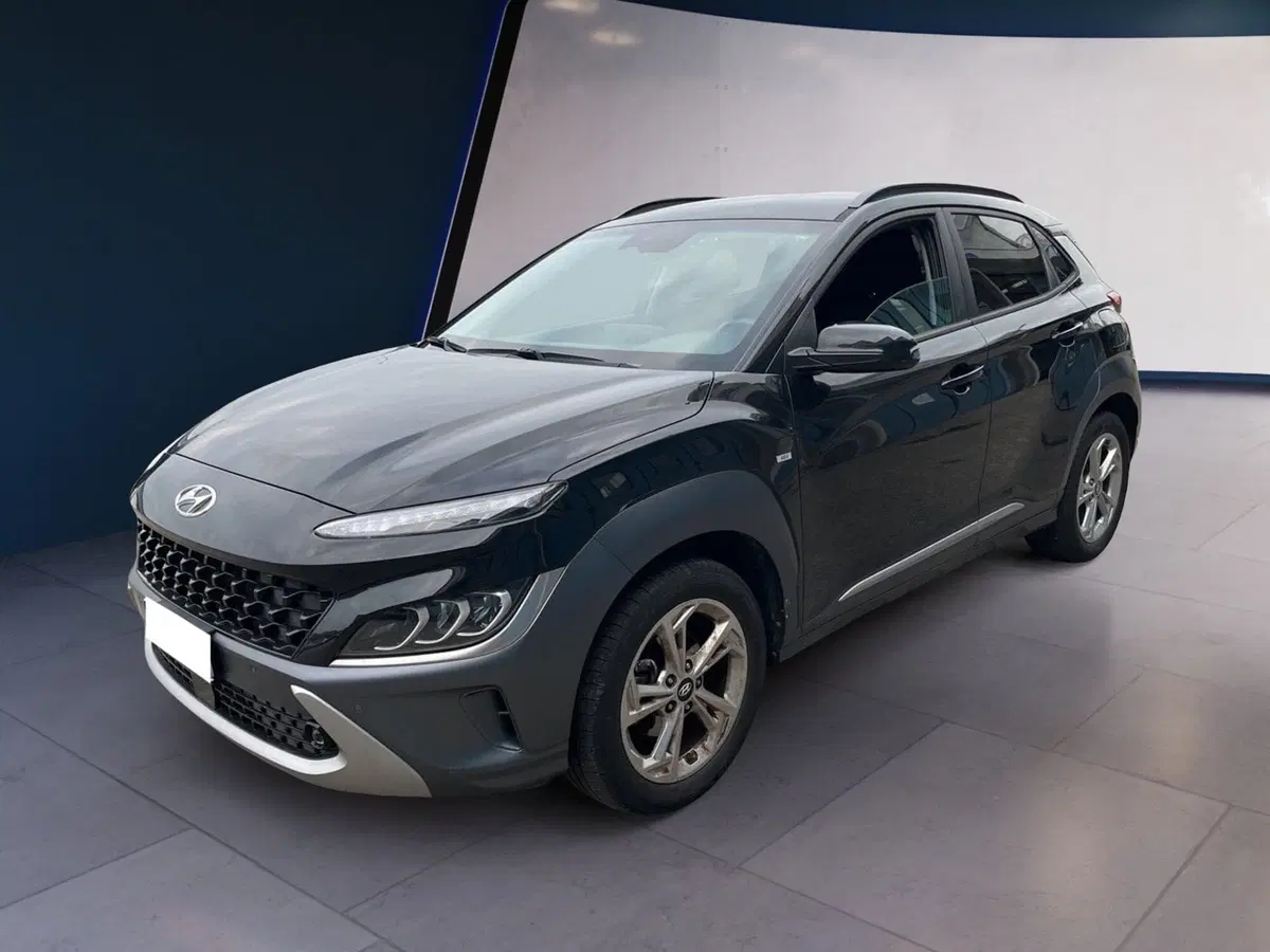 Hyundai Kona usata a Torino (2)