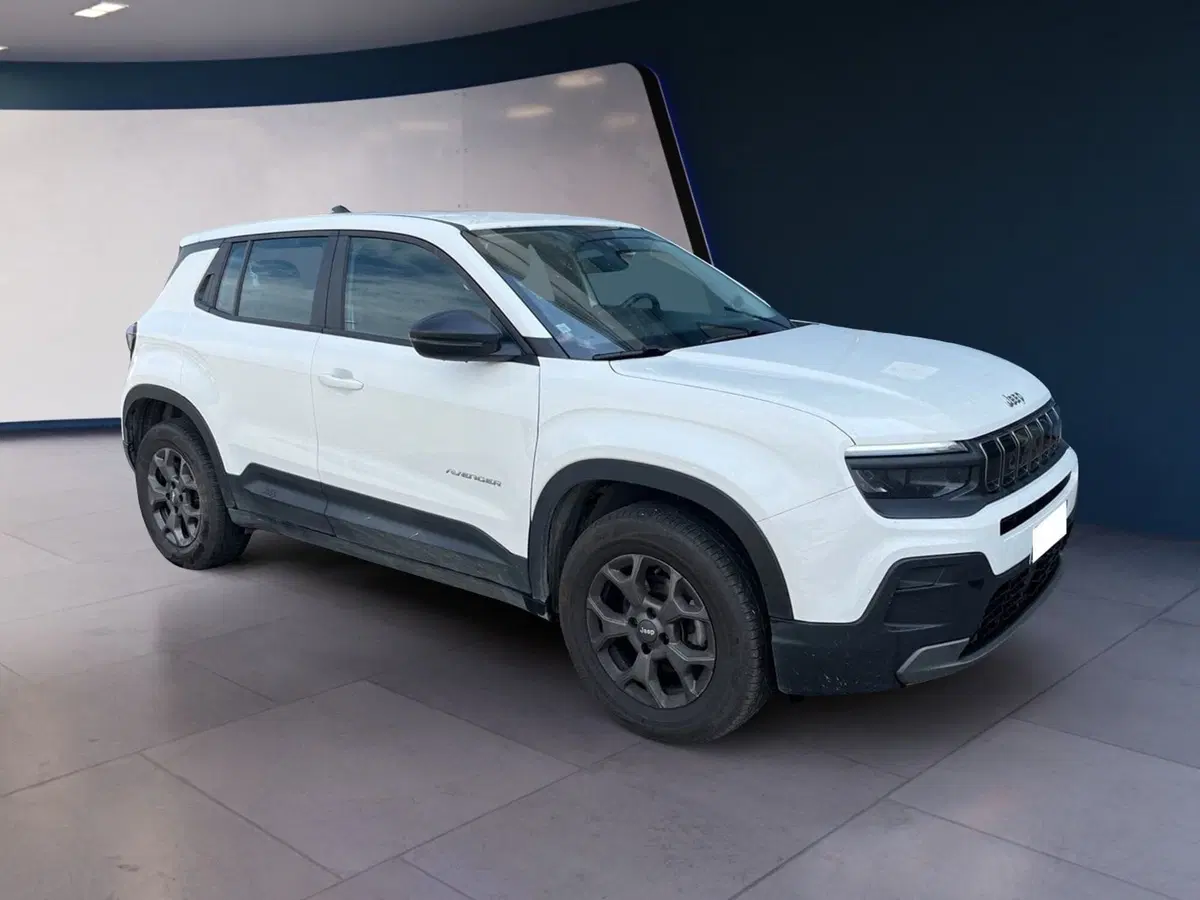 Jeep Avenger usata a Torino (3)