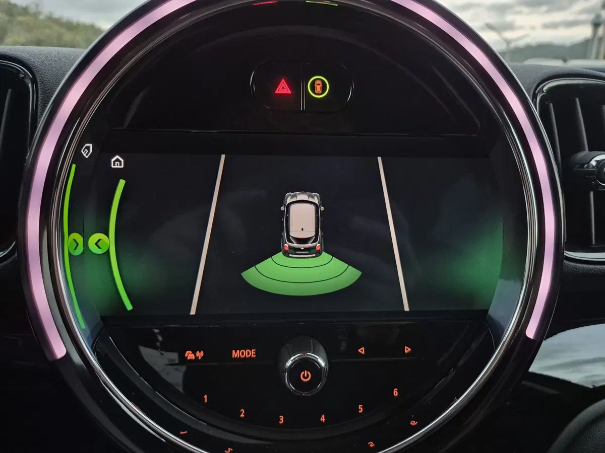 MINI Mini Countryman usata  (15)