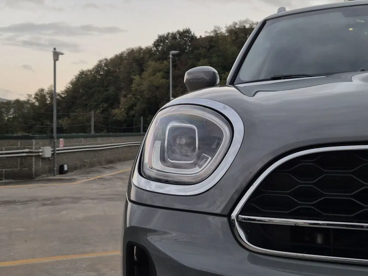 MINI Mini Countryman usata  (16)