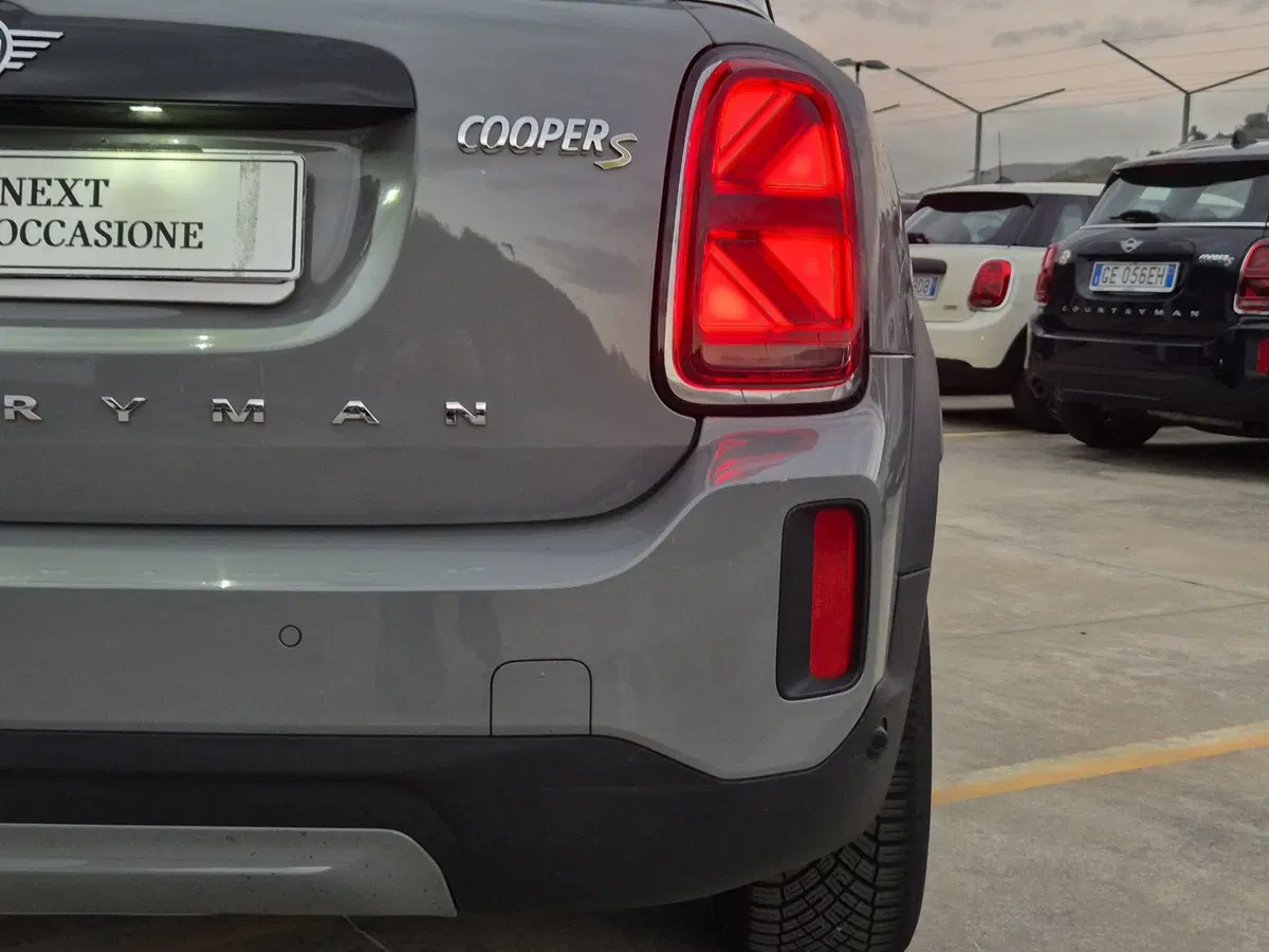 MINI Mini Countryman usata  (18)