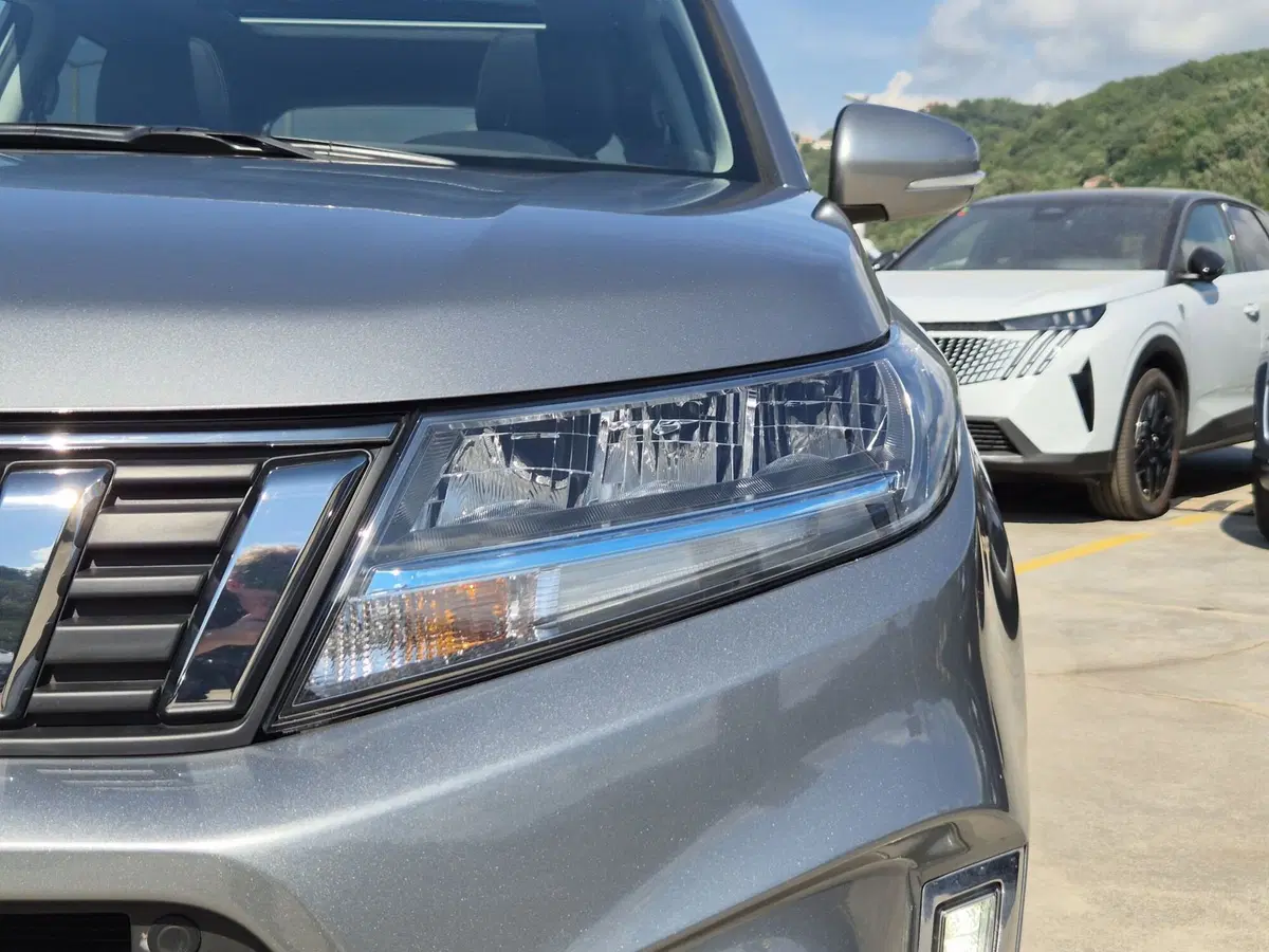 Suzuki Vitara usata  (16)