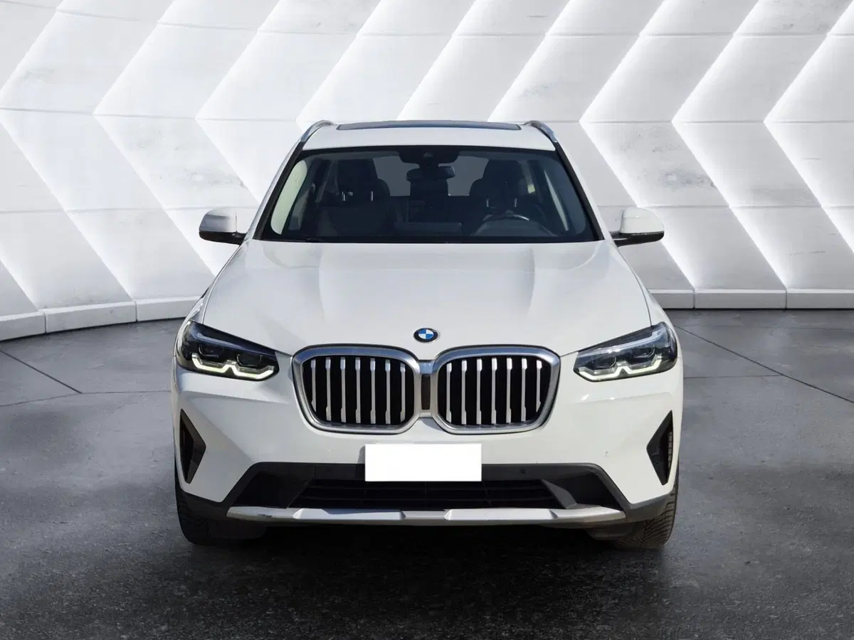 BMW X3 usata  (2)