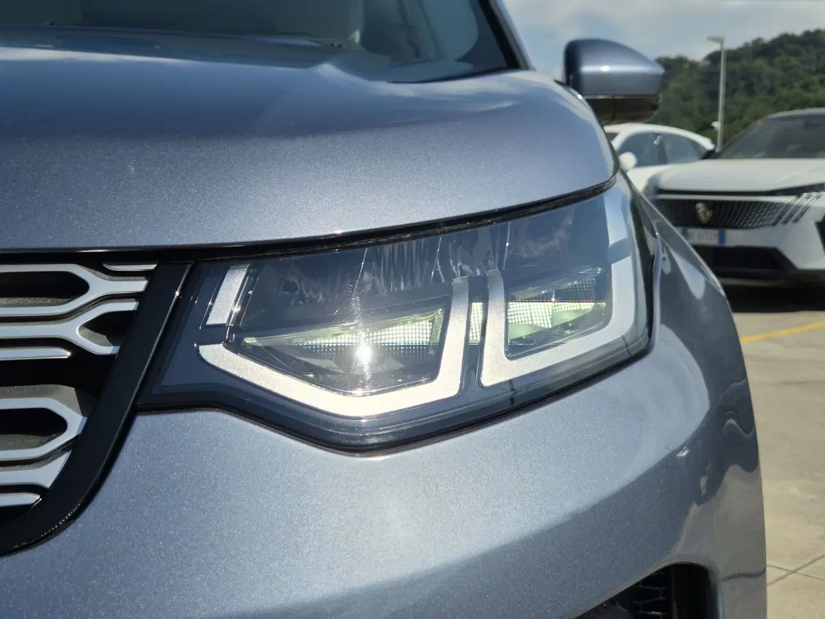 Land Rover Discovery Sport usata  (17)