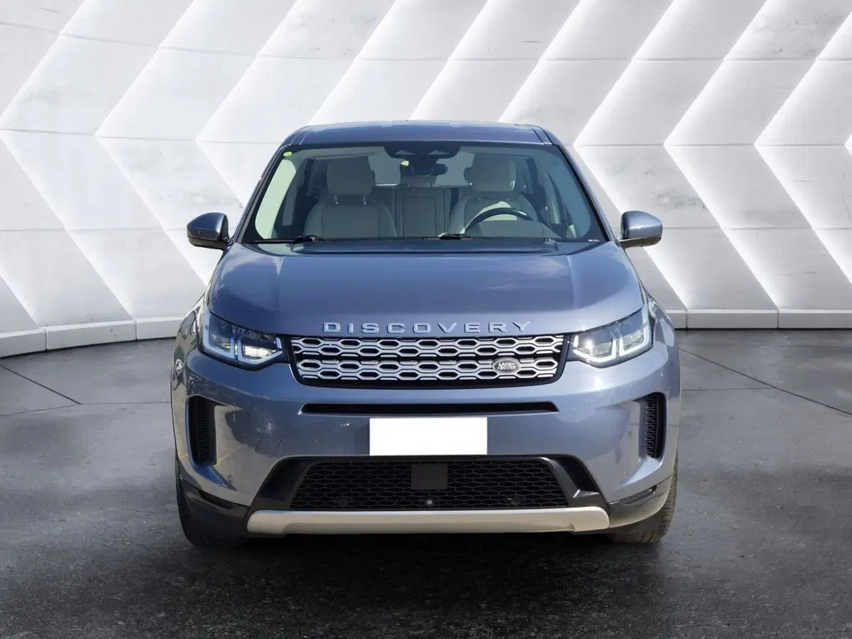 Land Rover Discovery Sport usata  (2)