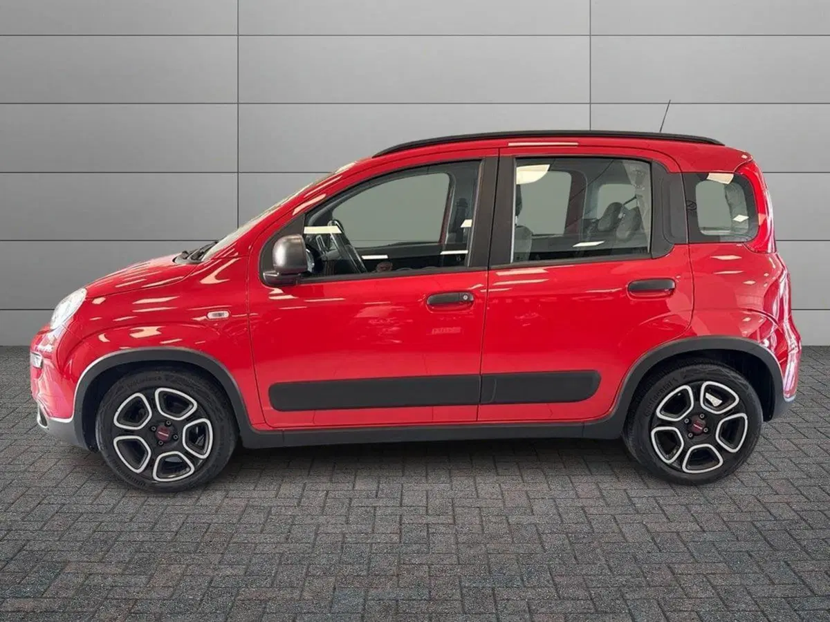 Fiat Panda Cross usata a Prato (2)