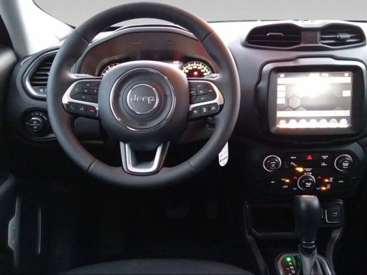 Jeep Renegade usata a Livorno (11)