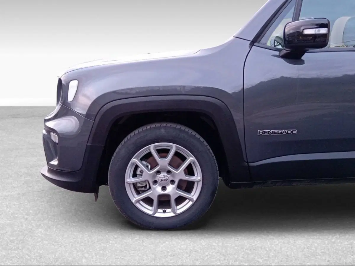 Jeep Renegade usata a Livorno (4)