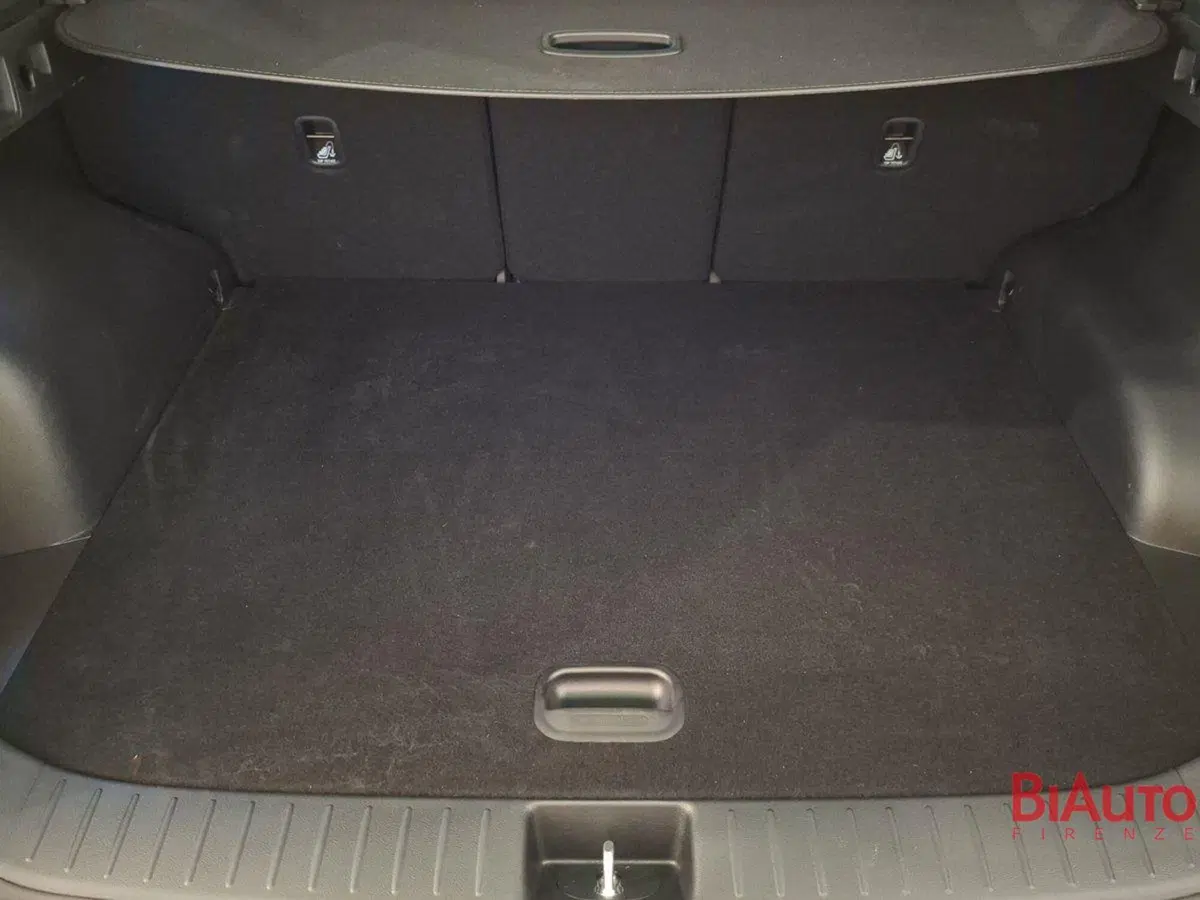 Kia Sportage usata a Firenze (5)