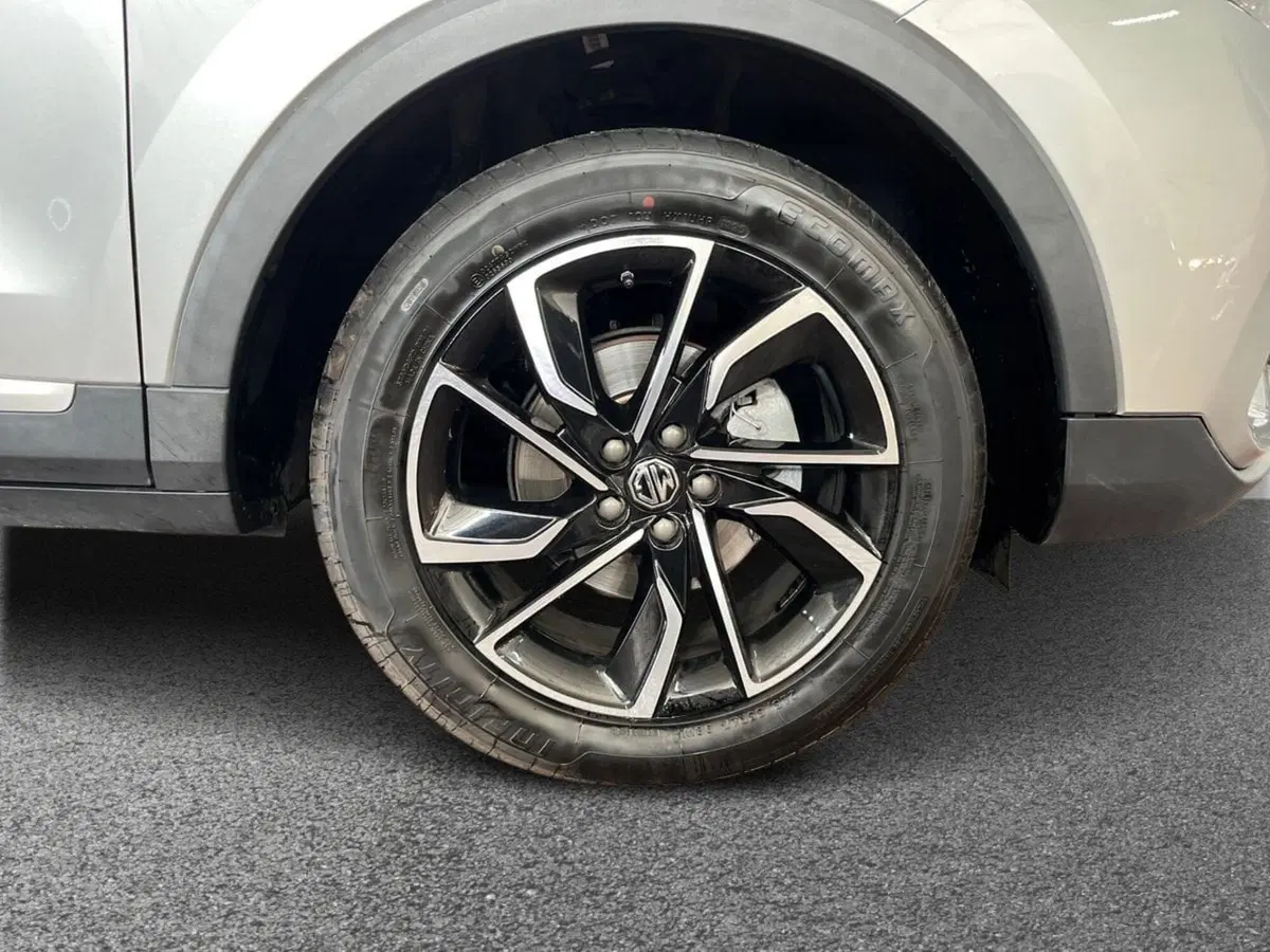 Mg ZS usata a Bari (6)