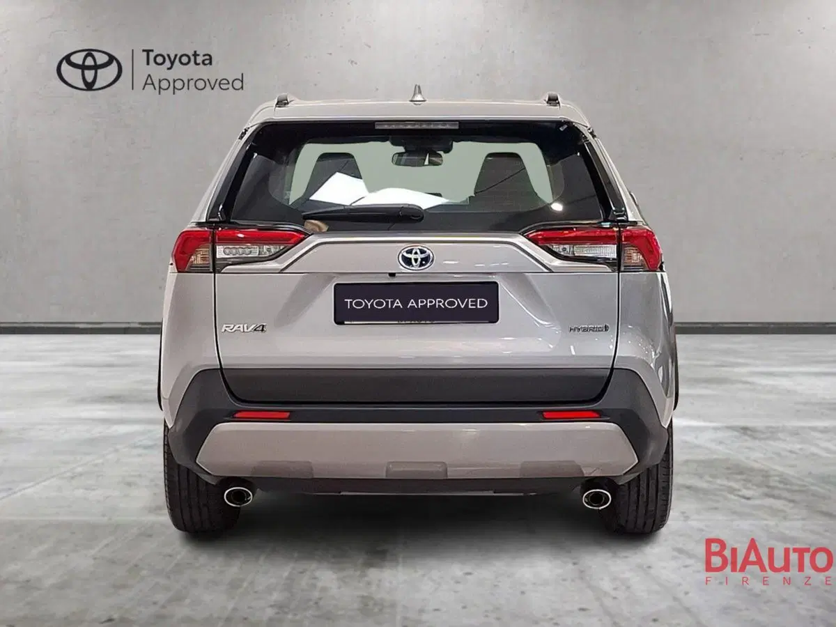 Toyota Rav4 usata a Firenze (12)