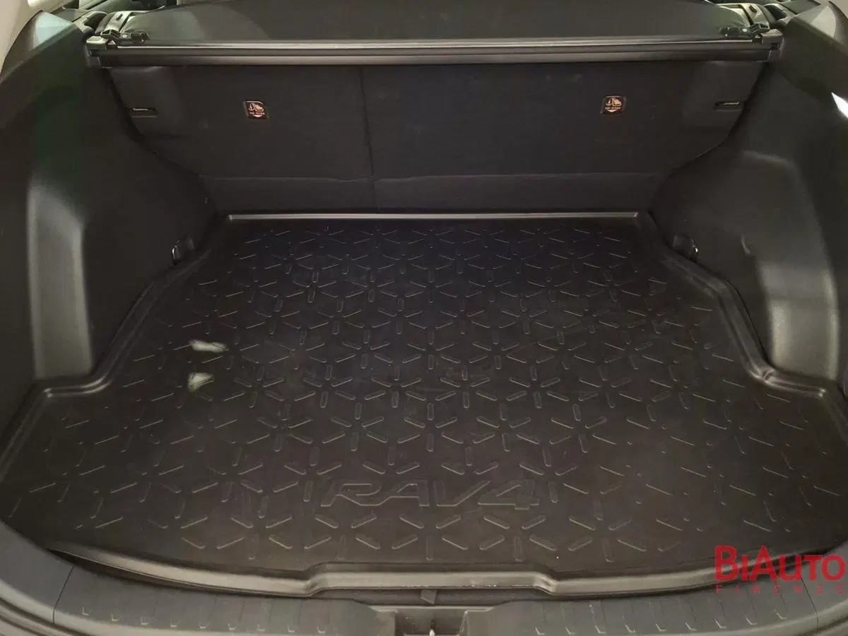 Toyota Rav4 usata a Firenze (6)